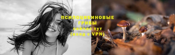 амф Армянск