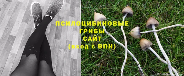 apvp Аркадак