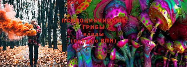 apvp Аркадак