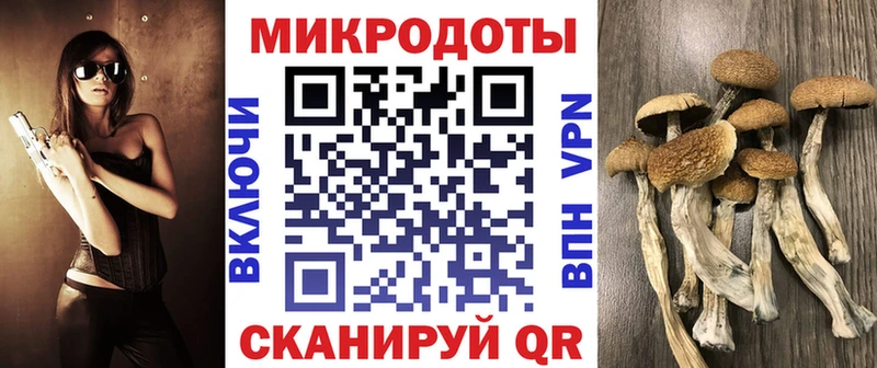 цена Белинский Галлюциногенные грибы GOLDEN TEACHER